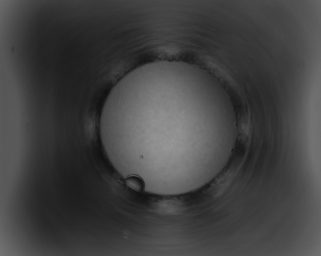 X0000099980468200806061527