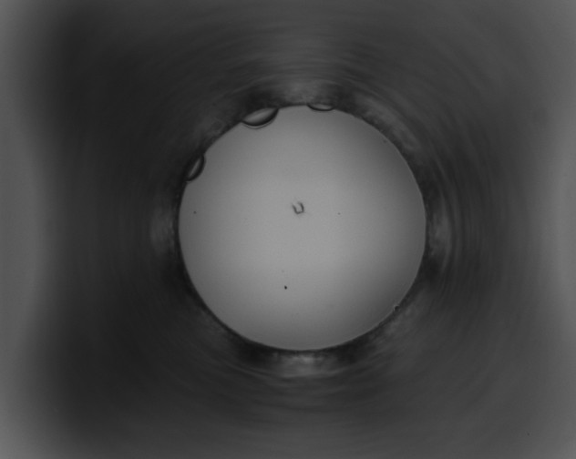 X0000099980473200806061527