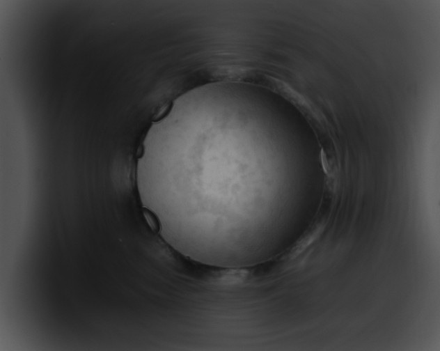 X0000099980474200806061527