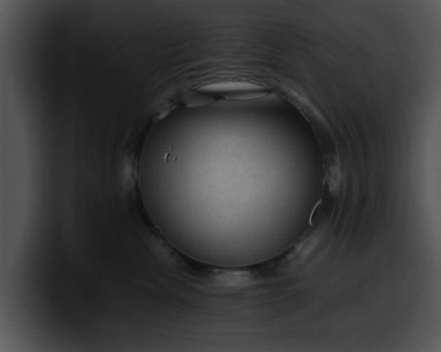 X0000099980476200806061527