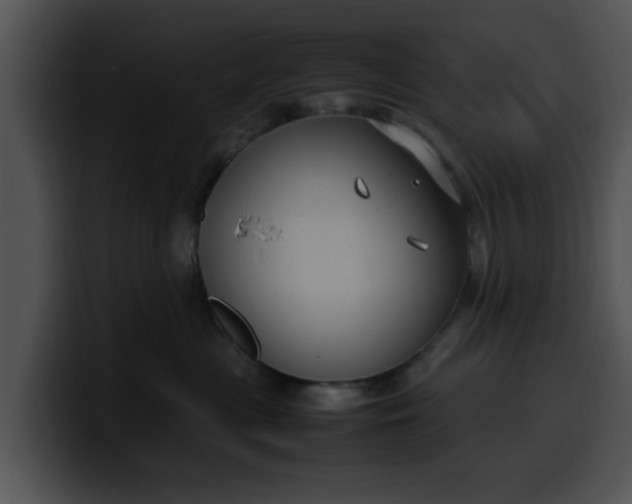 X0000099980477200806061527