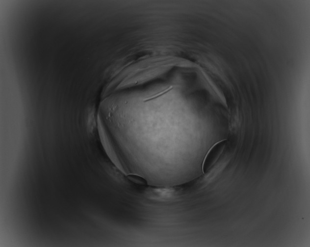 X0000099980478200806061527