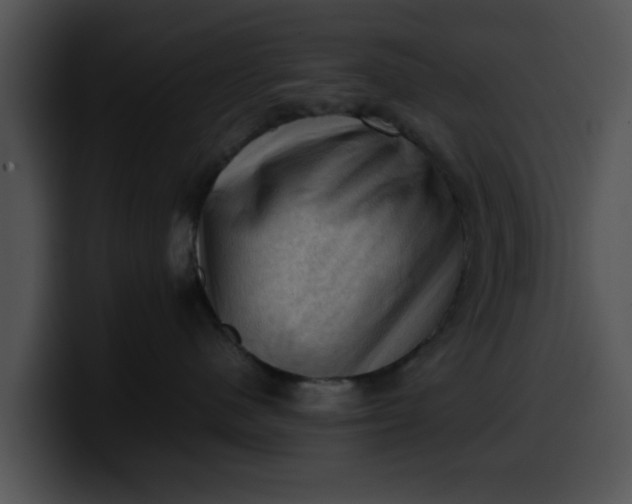 X0000099980480200806061527