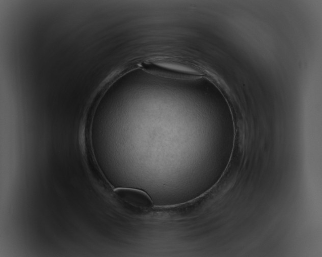 X0000099980482200806061527