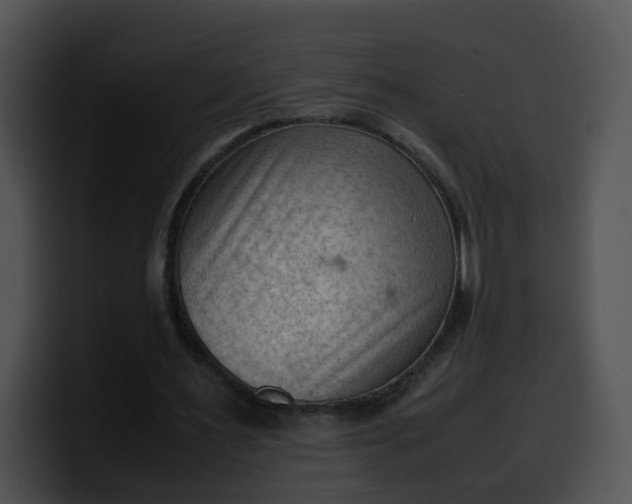 X0000099980483200806061526