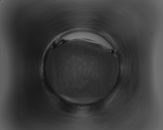 X0000099980484200806061526