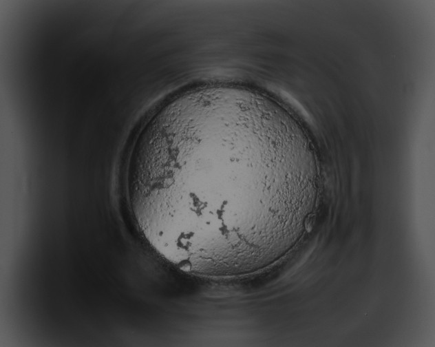 X0000099980487200806061526