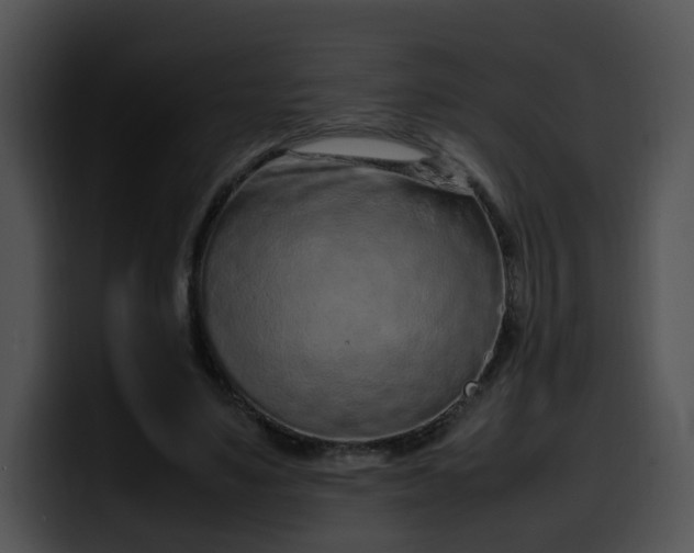 X0000099980491200806061526