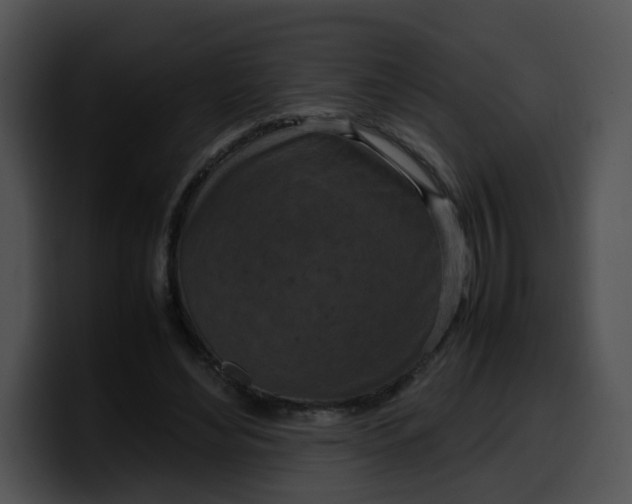 X0000099980492200806061526