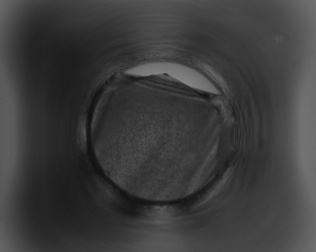 X0000099980493200806061526