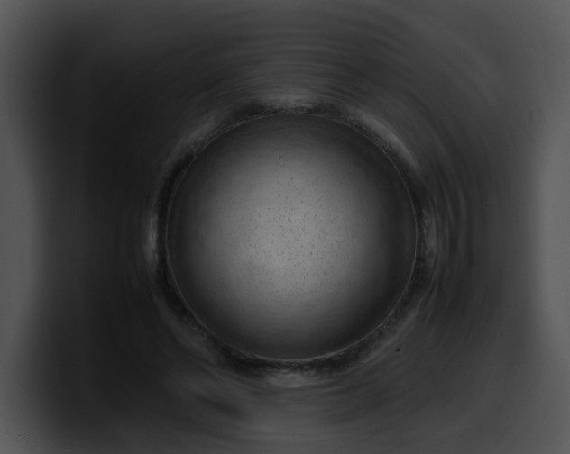 X0000099980494200806061526