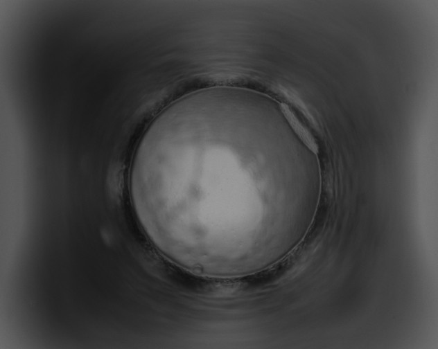 X0000099980495200806061526