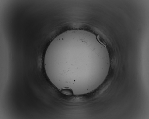 X0000099980497200806061526