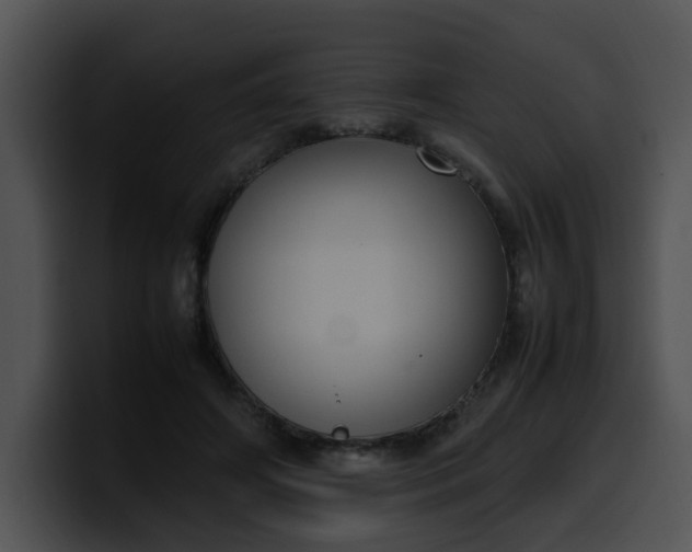 X0000099980498200806061526