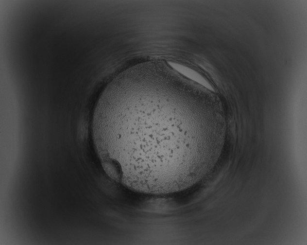 X0000099980499200806061526