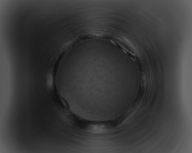 X0000099980500200806061526