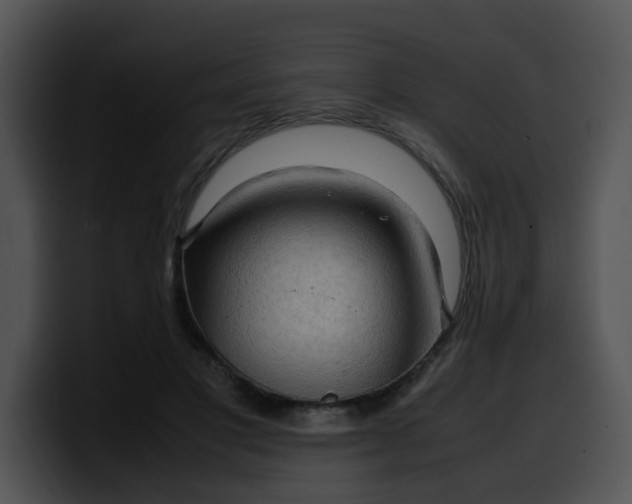 X0000099980501200806061526