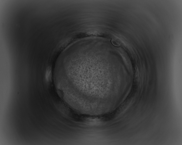 X0000099980502200806061526