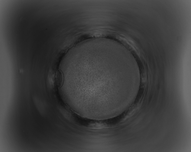 X0000099980503200806061526