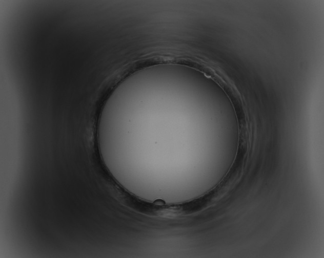 X0000099980505200806061526