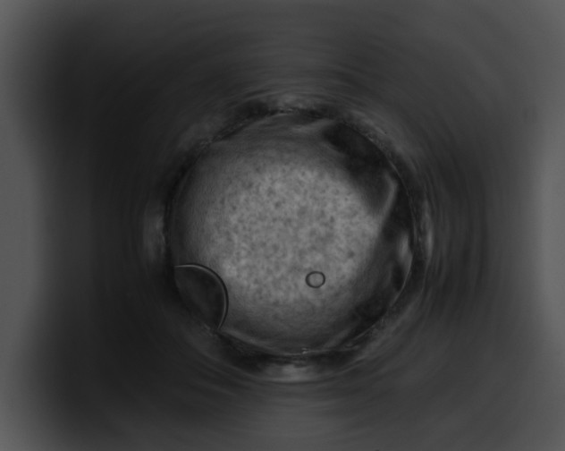 X0000099980506200806061526