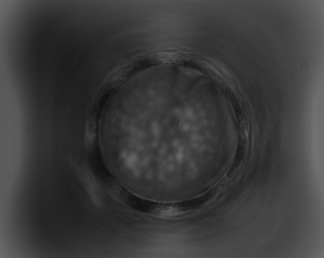 X0000099980507200806061526