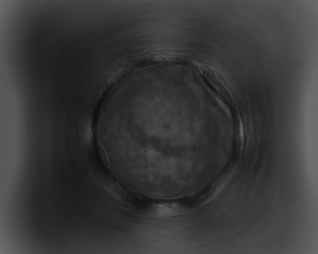 X0000099980508200806061526