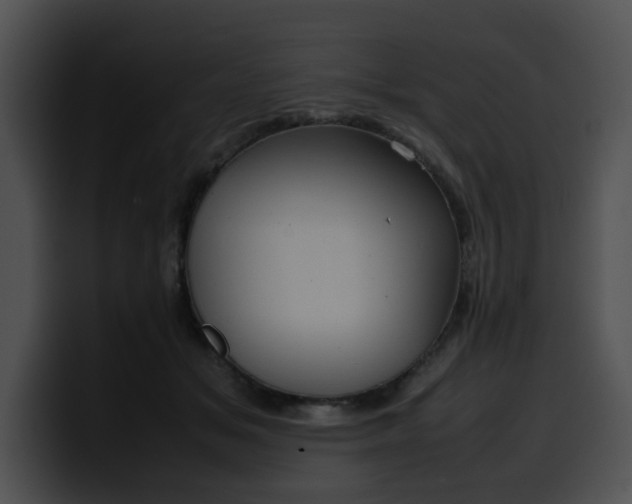 X0000099980509200806061526