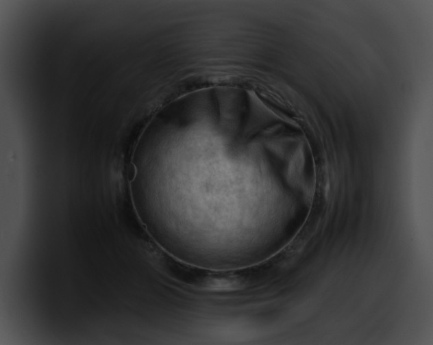 X0000099980510200806061526