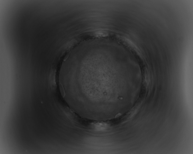 X0000099980512200806061526