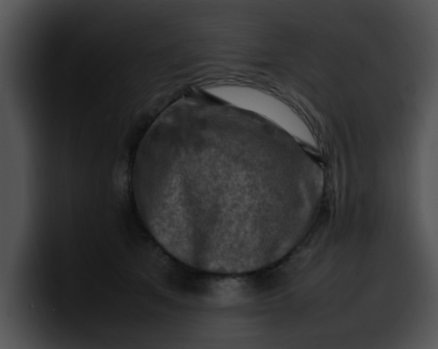 X0000099980513200806061526