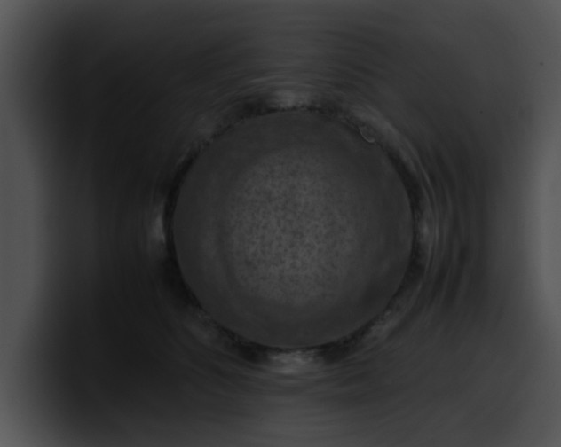 X0000099980516200806061526