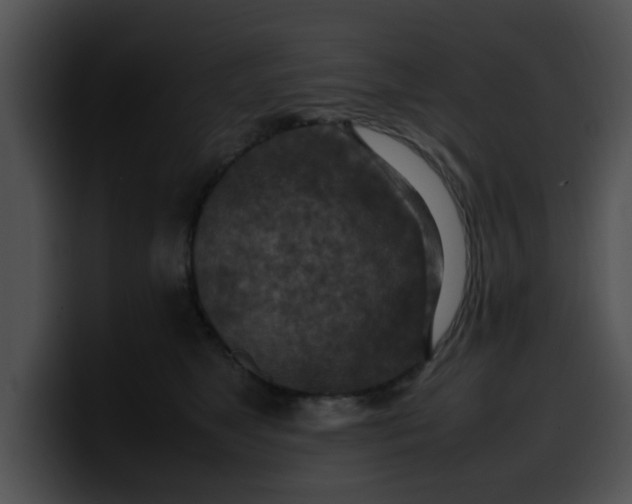 X0000099980517200806061526