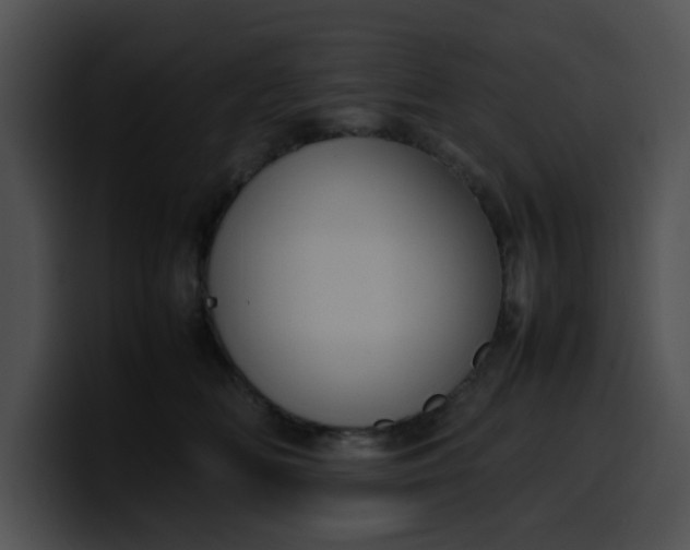 X0000099980518200806061526