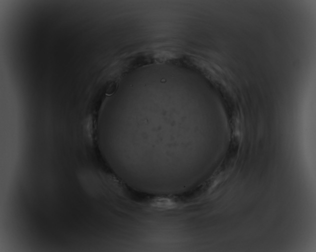 X0000099980519200806061526