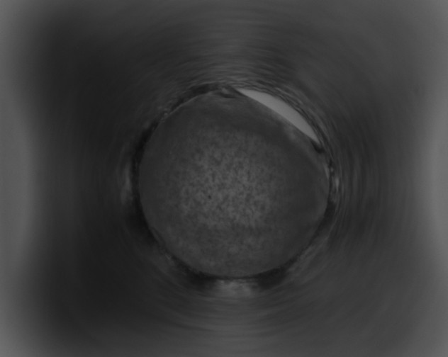 X0000099980520200806061526