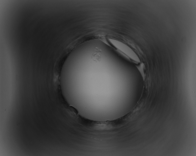 X0000099980521200806061526