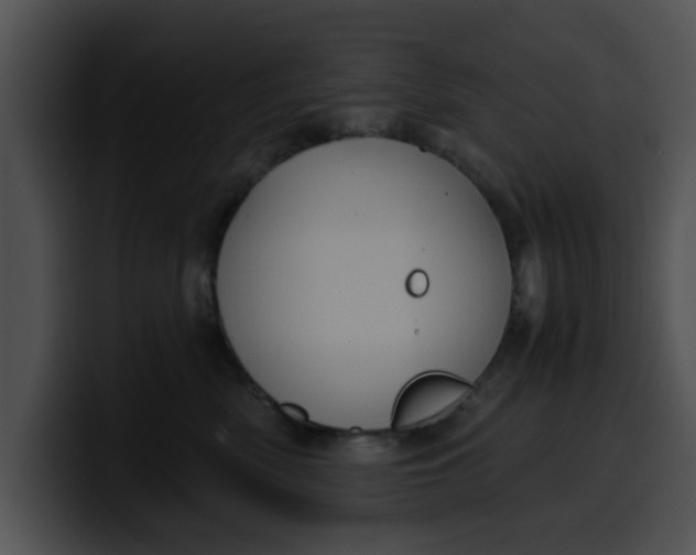 X0000099980522200806061526