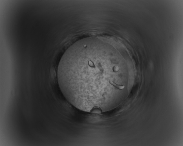 X0000099980523200806061526