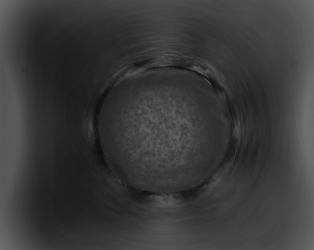 X0000099980524200806061526