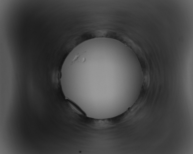 X0000099980525200806061526