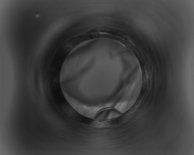 X0000099980526200806061526