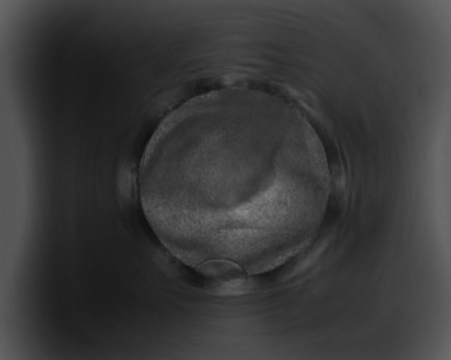 X0000099980527200806061526