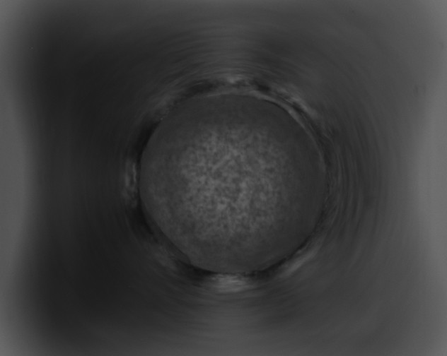 X0000099980528200806061526