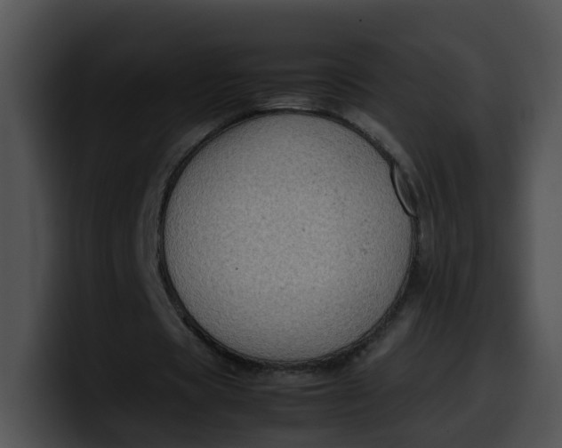 X0000099980529200806061525