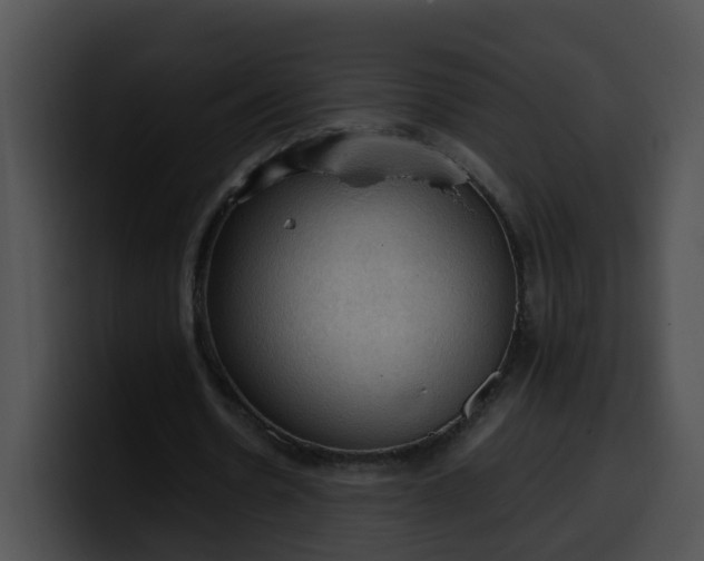 X0000099980530200806061525