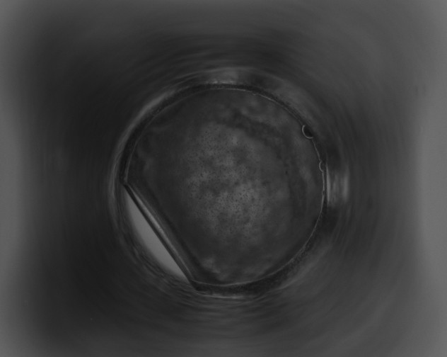 X0000099980531200806061525