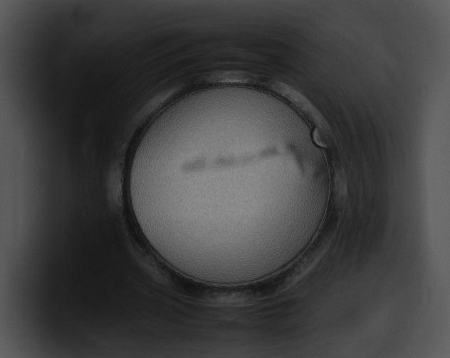 X0000099980533200806061525