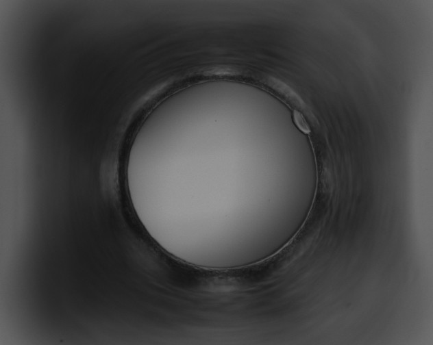 X0000099980535200806061525