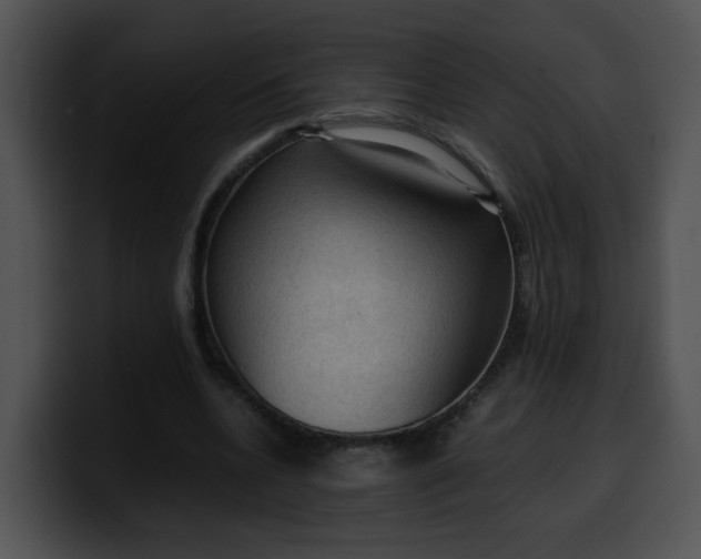 X0000099980536200806061525